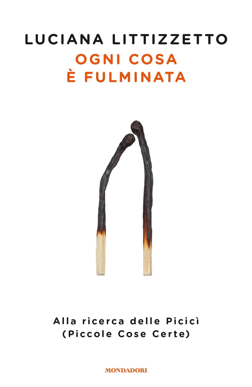 Ogni cosa Ã¨ fulminata